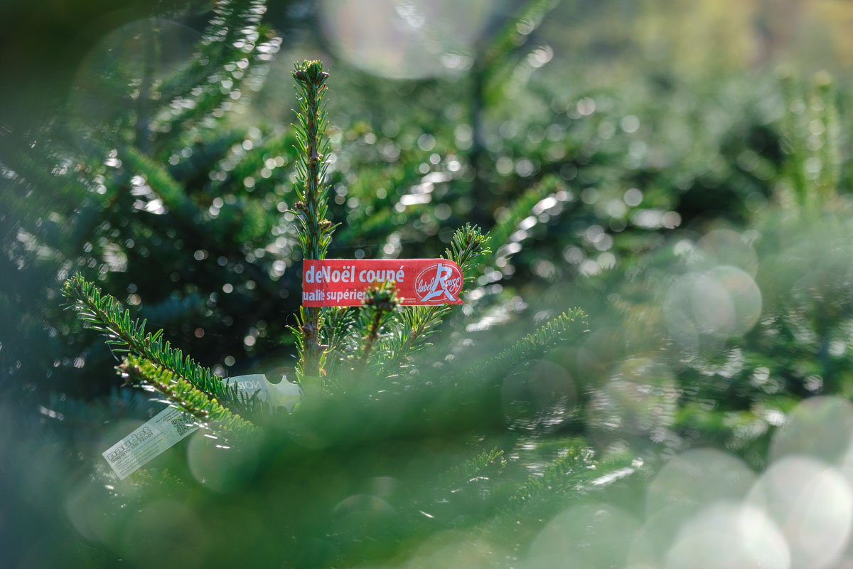 Reportage-photo-video-entreprise-photographe