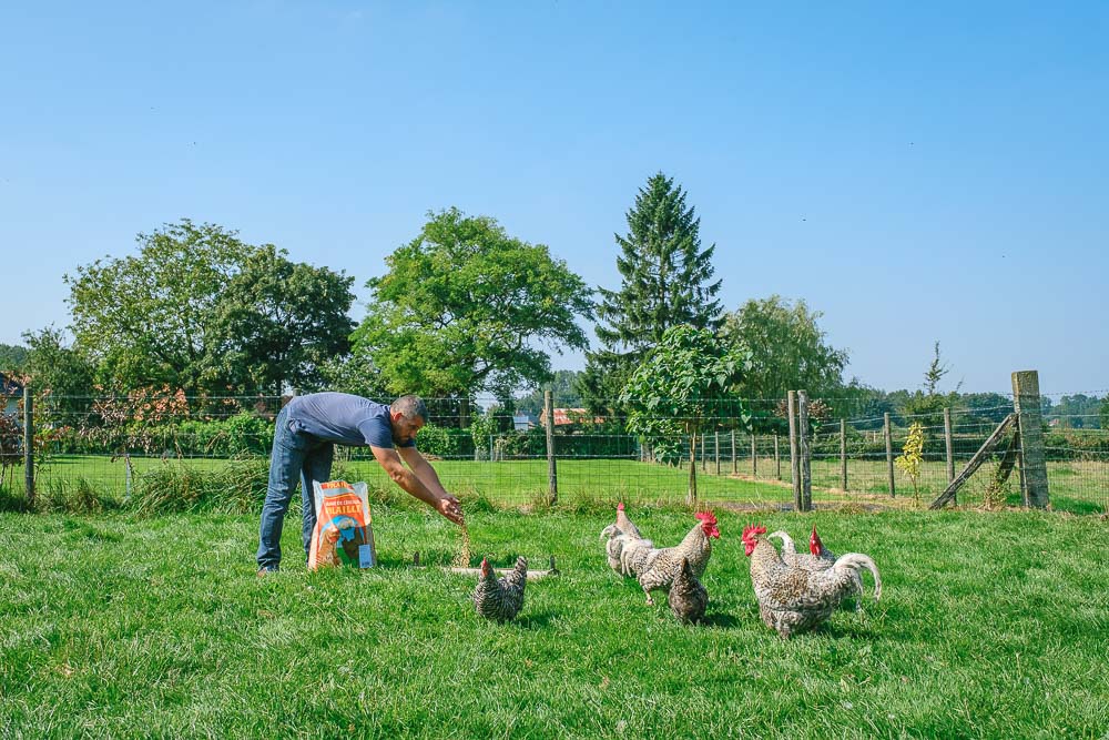 Reportage photo et vidéo entreprise et producteur français