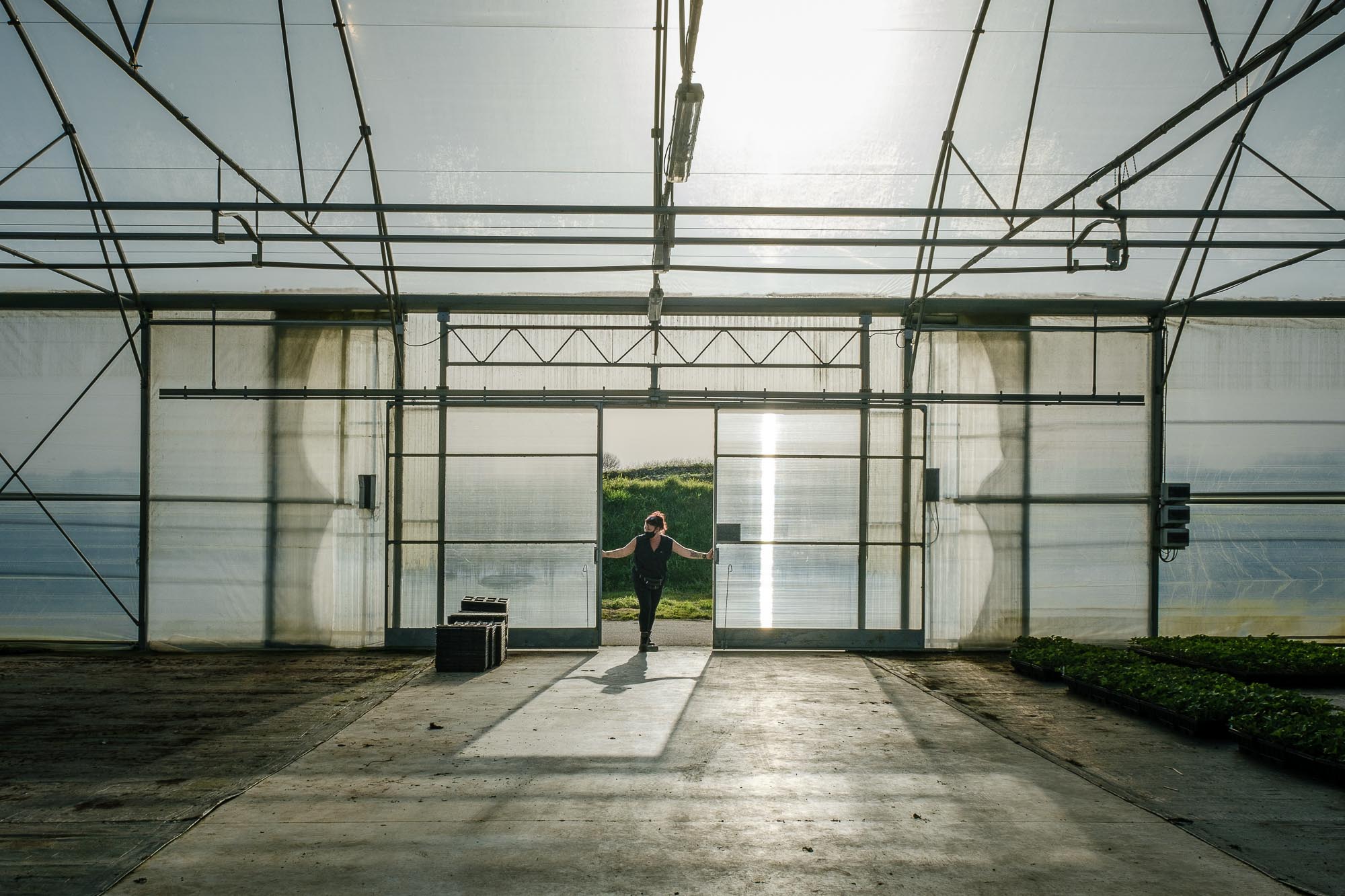 Savoir-faire producteur Jardiland